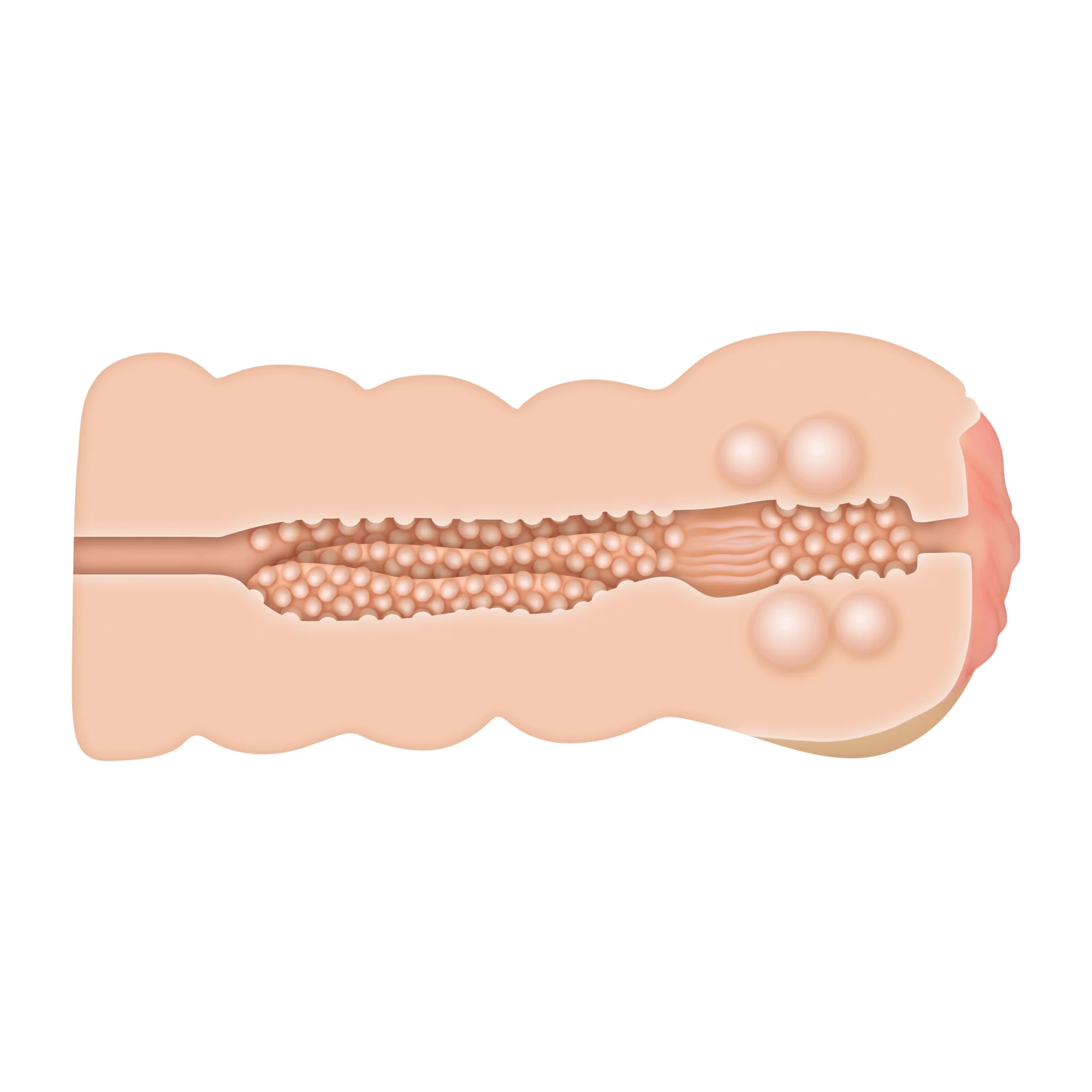 Adams Tight Stroker w Massage Beads - Image 5