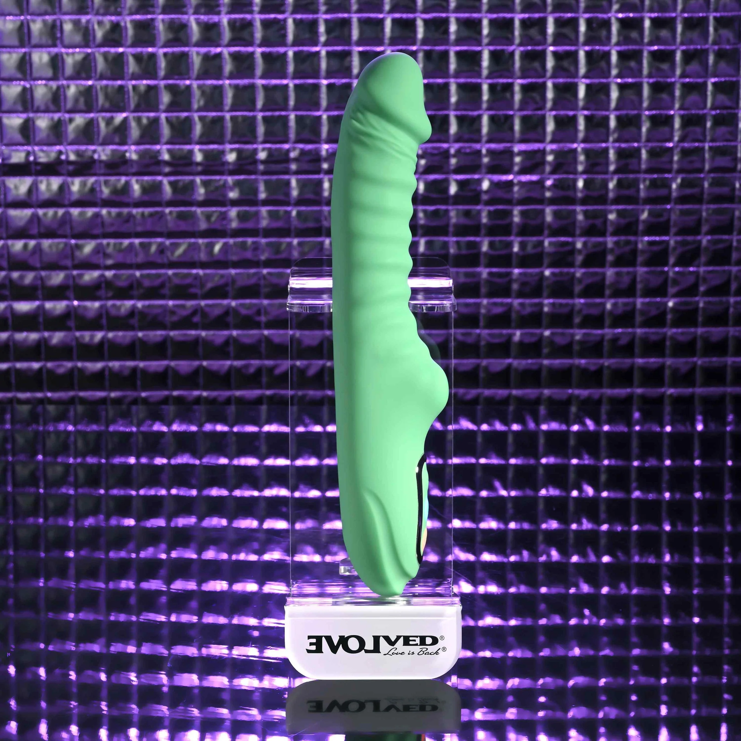 Evolved Full Throttle Warming Rabbit Vibe - Image 15