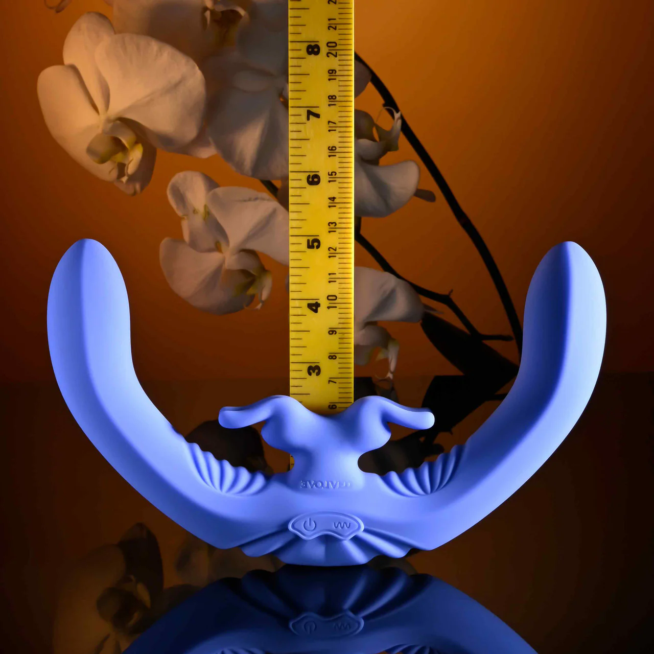 Evolved Lovebirds - Image 8