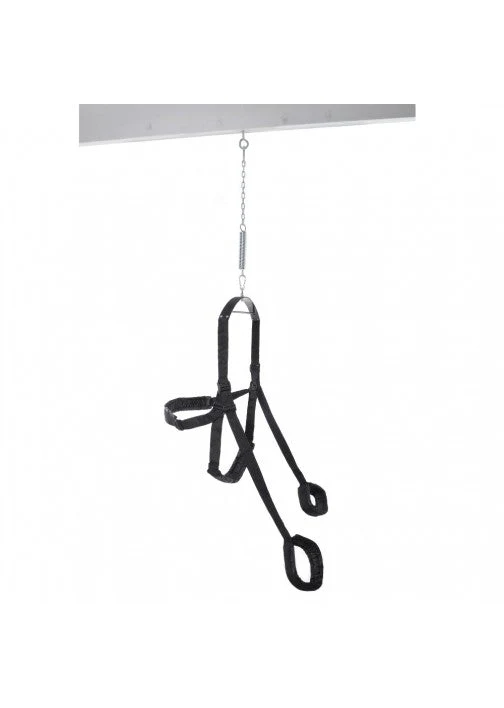 Fetish Fantasy Swing Black - Image 3