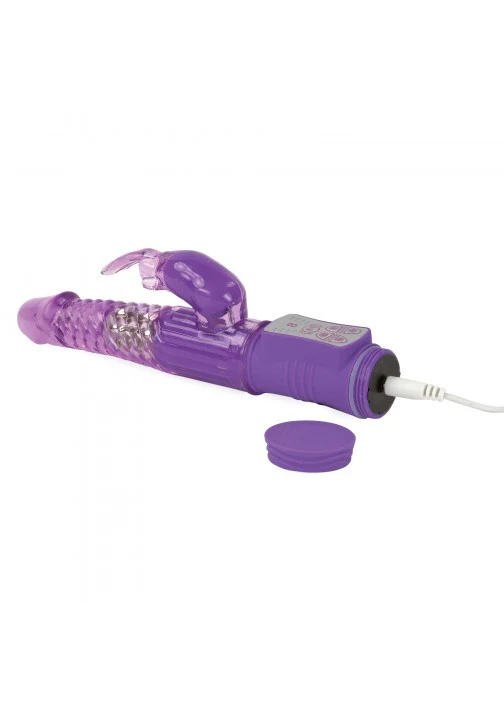 Adam & Eve - Eve's First Rechargeable Rabbit - Image 2