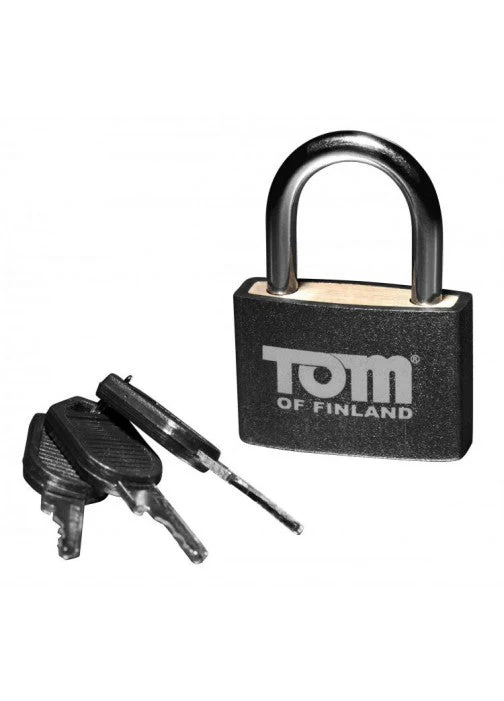 Metal Lock - Image 4